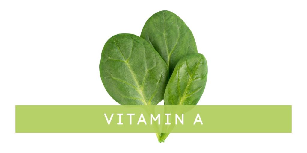 Vitamin A (Retinol) Skincare Ingredient - VERABELLA