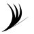 Curled lashes graphic